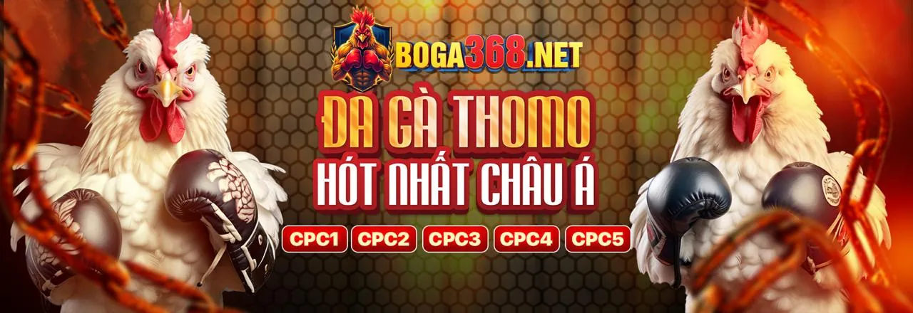 Tải ứng dụng SV8888 trên điện thoại